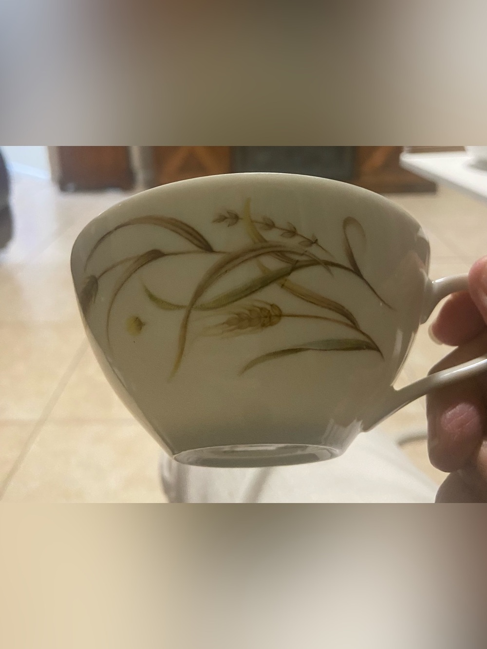 Vintage Yamaka Autumn Pride Teacups Set of 5 Japan Gold Trim